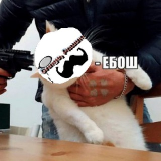 Логотип @cringejutsu - Cringe, Բռատզ