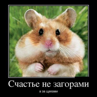 Логотип @criptoboom_s - CriptoBooM 💥