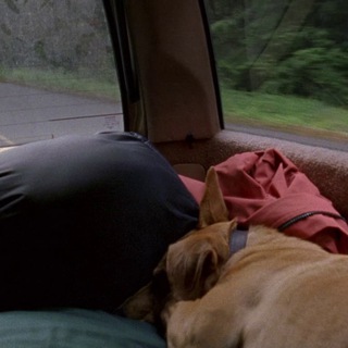 Логотип @critiquefailagain - critique-fail-again