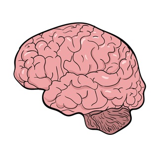 Логотип @critnewsmind - CritNews | Критический взгляд на всё