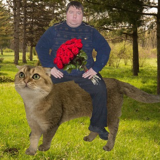 Логотип @crokocuts - Crokocut вещает