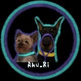 Логотип @crosswood_ammu - cross.wood