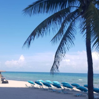 Логотип @cruiseinsiderru - Cruise - Insider