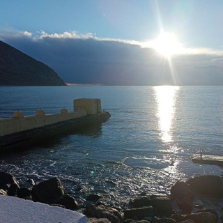 Логотип @crujoshi - Crujoshi