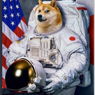 Логотип @cry_sog - Crypto Dog