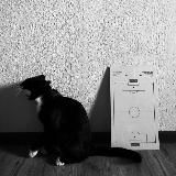 Логотип @crymikhashenokcry - Михашенок ноет