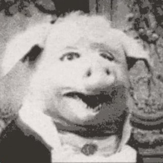 Логотип @crymoredorcas - Сыбитесь, вам тут не рады!🦝🦝🦝