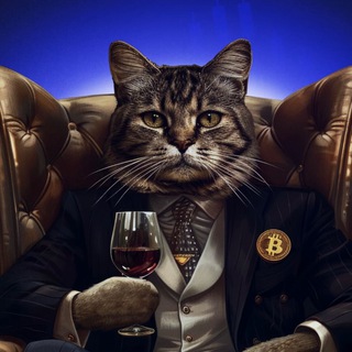 Логотип @cryp_tocat - КриптоКот 🐈 CryptoCat