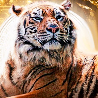 Логотип @cryprotiger - Crypto Tiger