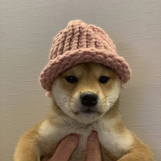 Логотип @cryptnewwss - Crypto News Новости крипты 🚀