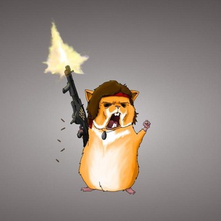 Логотип @crypto_samoyed - Samoyed