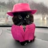 Логотип @cryptoabuzzinng - Profit