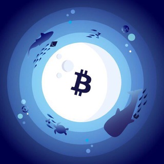 Логотип @cryptoaquarium - Crypto Aquarium 🐳