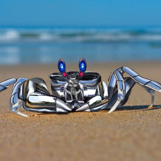 Логотип @cryptoaquariumtrading - Trading | Crypto Aquarium 🦀