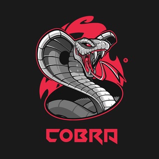 Логотип @cryptocobrabro - Crypto Cobra