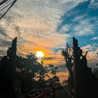 Логотип @cryptodiarypaladin - Crypto Diary | Личный блог