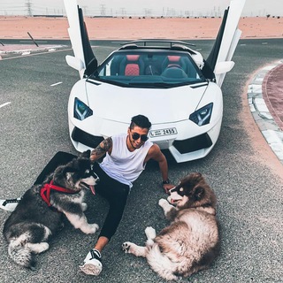 Логотип @cryptoforexchat - CRYPTO FOREX CHAT