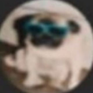 Логотип @cryptogovnozavod - Криптоговнозавод | DegenDev