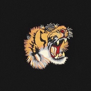 Логотип @cryptoguide_sale - Cryptoguide 🐯