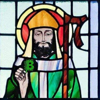 Логотип @cryptohumor - CryptoHumor