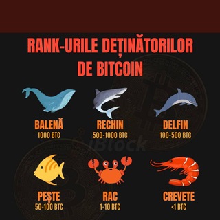 Логотип @cryptohustleromania - Crypto