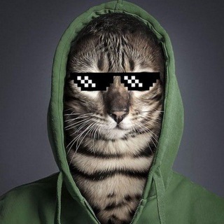 Логотип @cryptokatzer - КРИПТОКОТ 🛸