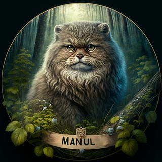 Логотип @cryptomanul - CryptoManul