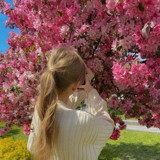 Логотип @cryptonaireton - Фотоидеи на каждый день📷