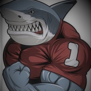Логотип @cryptonewsalertsfan4 - Trading Shark №1