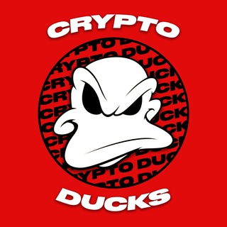 Логотип @cryptooduckk - крипто утки 🐤