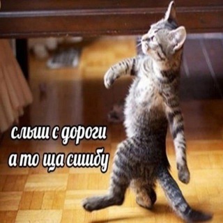Логотип @cryptopopa - Crypto | Popa АУКЦИОН