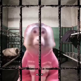 Логотип @cryptoprisonn - CryptoPrison