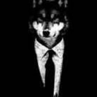 Логотип @cryptosvoboda63 - Крипто Волк