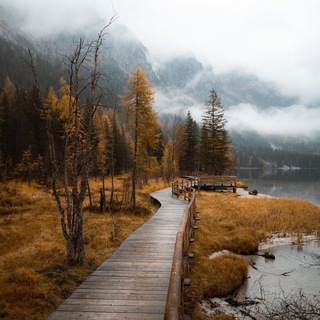 Логотип @crystalprayc - cŕystal|price