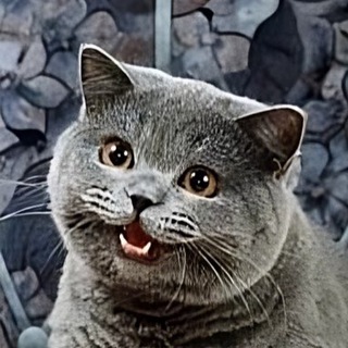 Логотип @cs50x - CS50