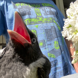 Логотип @cs_100 - ✙Кіслотня Сотня✙