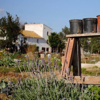 Логотип @csoahorta - CSOA l'Horta