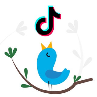 Логотип @csources - Twitter и TikTok