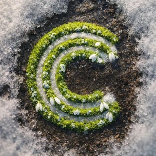 Логотип @cspto_70 - Центр спортивной подготовки сборных команд Томской области