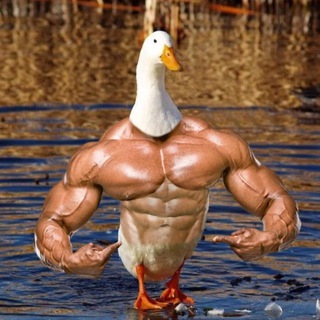 Логотип @csshuba - VINT CS2 промокоды в STANDOFF 2 @BepTr @Cheat134 @advent85