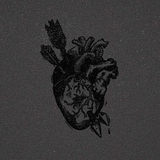 Логотип @ctrannik17 - странник.