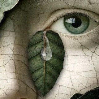 Логотип @cuerpotranspersonal - Трансперсональное Тело / Cuerpo Transpersonal