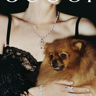 Логотип @cultofashioon - Cult of fashion