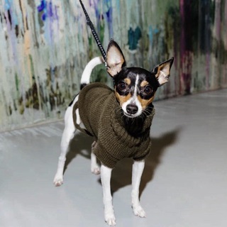 Логотип @culturebite - Культурный кусь