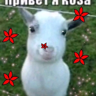 Логотип @cumnevedova - полина камневедова