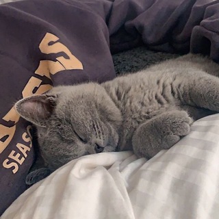 Логотип @cupidontrack - ᴄᴜᴘɪᴅᴏɴ | ᴛʀᴀᴄᴋ