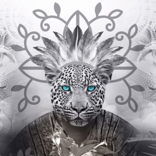 Логотип @curanderos - Curanderos