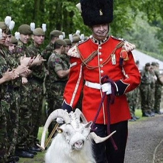 Логотип @curiocities - Куриоситиз