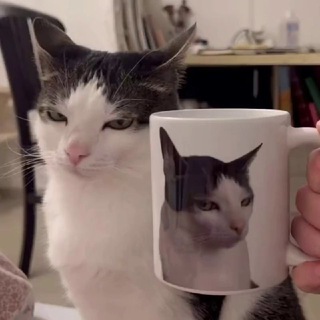 Логотип @curiosityandmore - Curiosidades, memes y más...