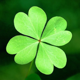 Логотип @curiouseful - curiouseful